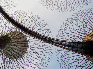 Solar-powered supertrees at Singapore's Gardens by the Bay.