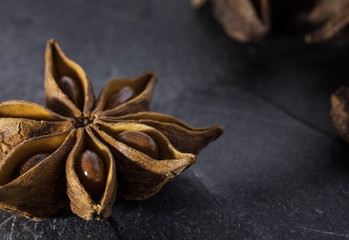 Star Anise