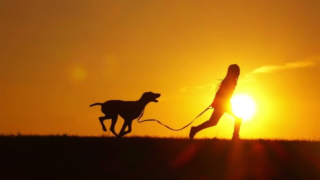 Pretty young girl happily running with dog outdoors in fileds on sunset, slow motion.