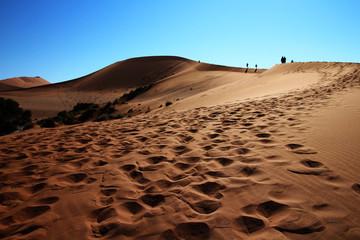 Weg zur Düne Big Mama im Sossusvlei