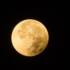 Obraz premium Coucher de lune.