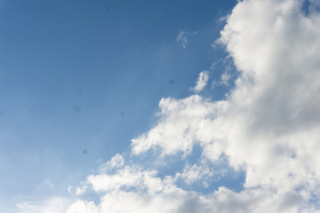 Fototapeta premium Blue cloudy sky