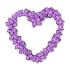 Heart of lilac flowers. Postcard to the Valentine's day.Purple flowers.