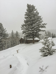 Fototapeta premium Winter Cabin in the Woods