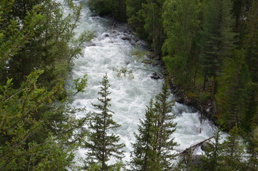 Travel to Altay Mountains during the holidays