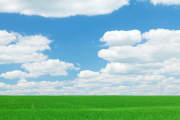 Green grass field and blue sky with clouds