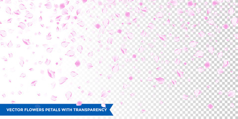 Flowers petals falling on vector transparent background © Ron Dale