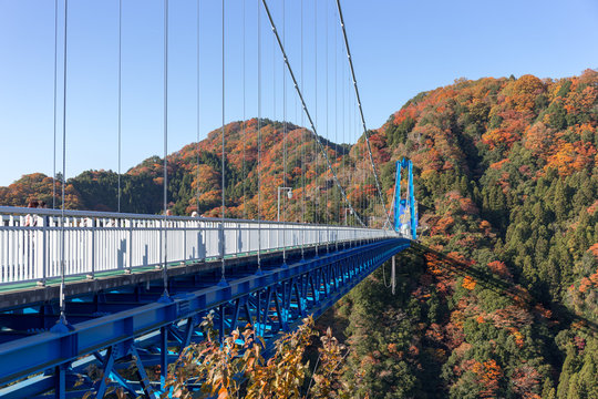 竜神大吊橋