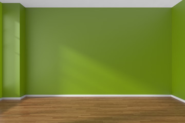 Green empty room with parquet floor