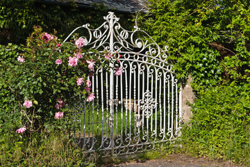 Donzenac (Corrèze)