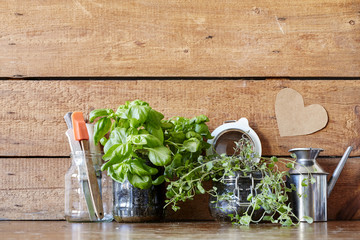 new kitchen decoration ideas herbs in jars