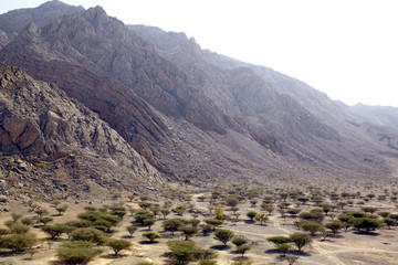 Blick vom Dhayah Fort auf das haja Gebirge, Rash Al-Khaimah, Arabische Halbinsel, Naher Osten