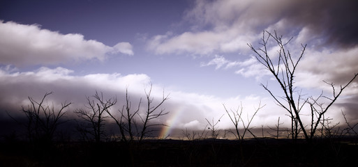 Sky with rainbow