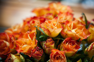 a large number of bright golden orange roses. a large bouquet of roses. fire rose close-up. flower wall. small wall of roses