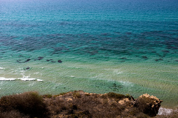 Overgrown cliff, sea, waves.