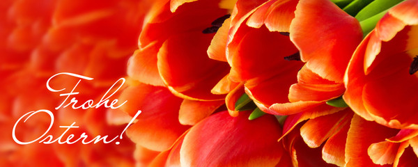 Frohe Ostern!