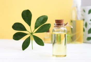 Bottle of golden essential oil with string, green plant leaf decor, yellow background. Calming aromatherapy massage time.
