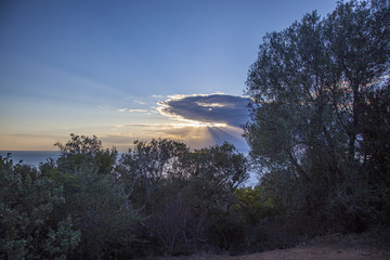 Sunset over the woods and sea