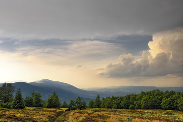 Obraz premium Mountain landscape with blueberry fields in the evening.