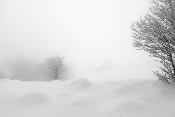 Laconic winter landscape, snow drifts and branches