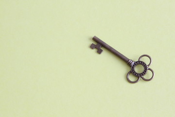 Key in vintage look on clear green background