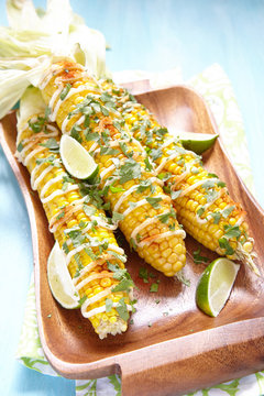 mexican hot grilled corn cobs elote