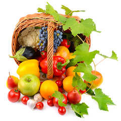 vegetables and fruits in a basket isolated on white background