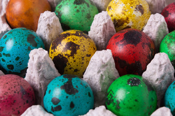 Color quail eggs