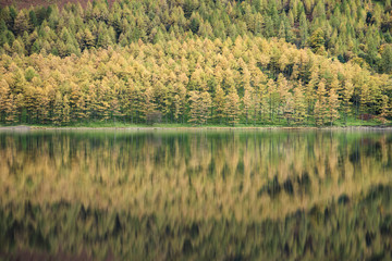 Obraz premium Beautiful Autumn Fall landscape image of Lake Buttermere in Lake