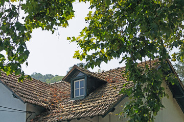 Fototapeta na wymiar Roof tiles of an old house, the attic window. Through the foliag