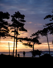 Beautiful sunset silhouette of trees and sea in background and p