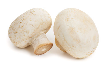 Two champignon mushrooms isolated on white background, close-up.