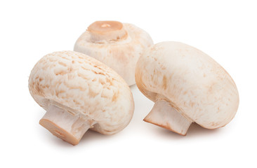 Champignon mushrooms. Three mushroom isolated on white backgroun