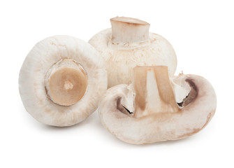 Fototapeta na wymiar Fresh champignons. Three mushroom isolated on white background,