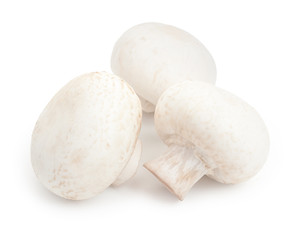 Fresh champignons. Three mushroom isolated on white background,