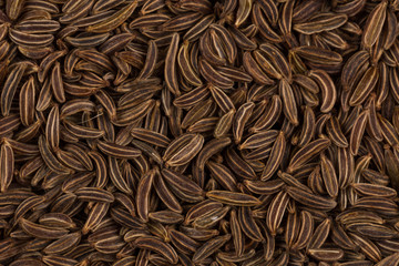 Close up caraway seeds
