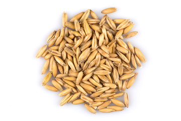 pile of organic oat grains
