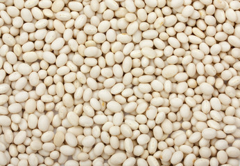 White beans background top view. Close up.