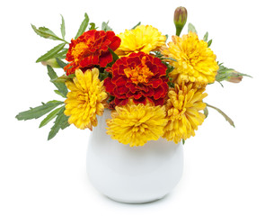 Dark red marigolds and chrysanthemums in a ceramic vase, flowerp