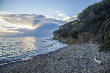 Sunset at the shore and woods