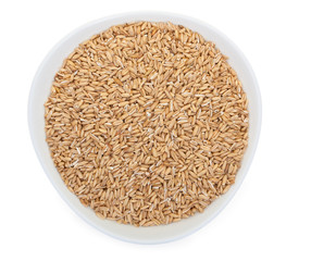 Grain oats in a white ceramic plate, isolated on a white backgro