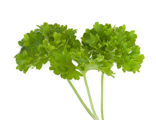 Leaves of fresh parsley isolated on a white
