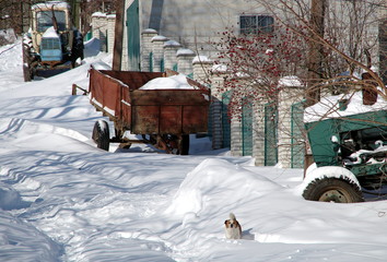 Farm after snowfall