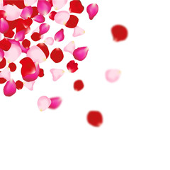 Rose petals background. For presentations, invitation ad print. Wedding valentine love concept
