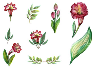 watercolor flowers in different styles