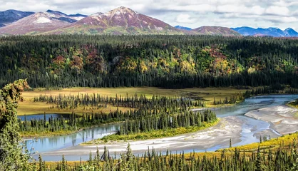 Foto auf Acrylglas Denali Panoramablick vom Denali Highway mit Herbstfarben auf die Alaskan Range