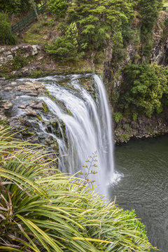 Whangarei Falls, Northland, New Zealand