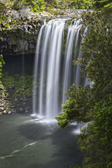 Obraz premium Rainbow Falls, Kerikeri, New Zealand