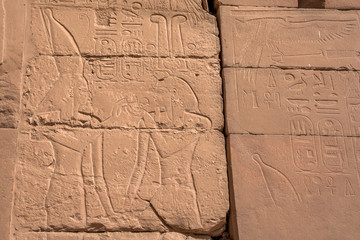 Hieroglyphs of Karnak temple