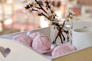 Spring still life with pink marshmallows